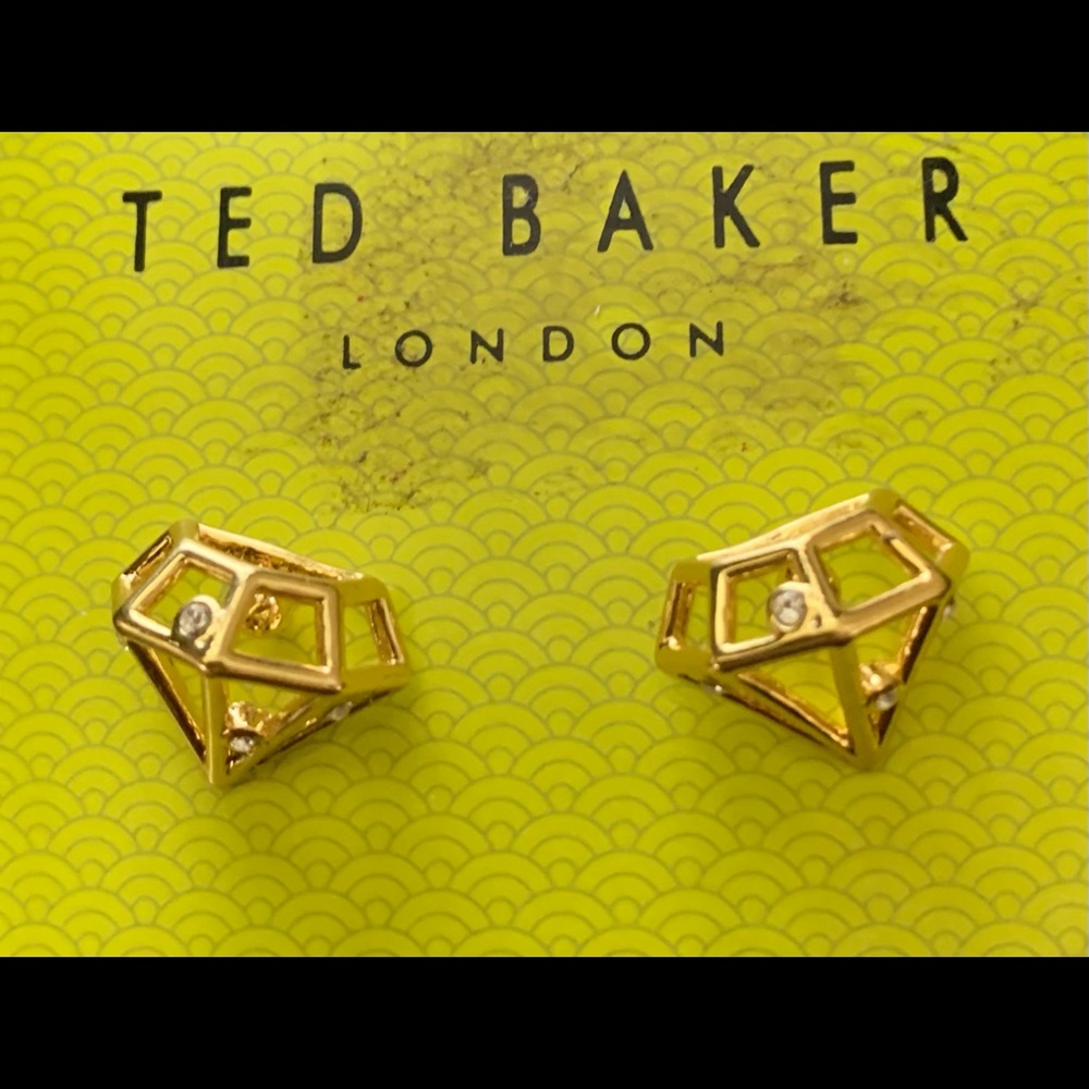COPY - TED BAKER EARRINGS